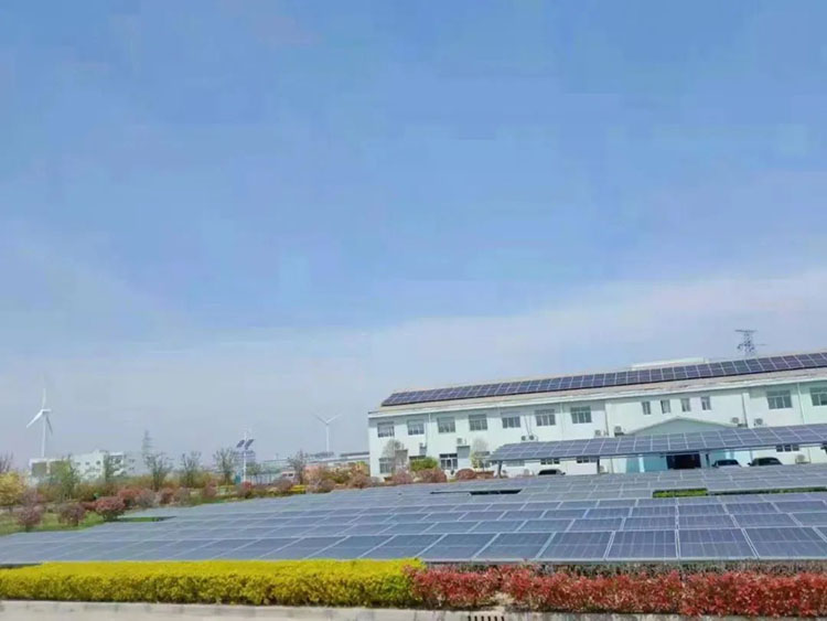 02.jpg